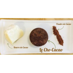 copy of Le Cho-Cacao
